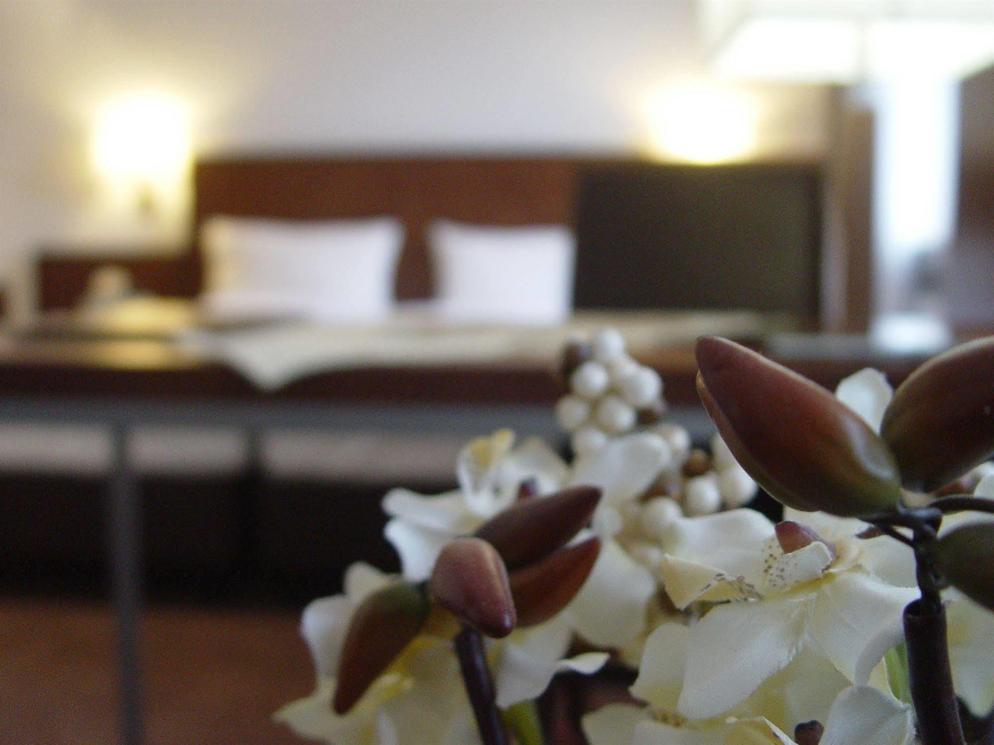 Hotel Zum Adler Бонн Экстерьер фото