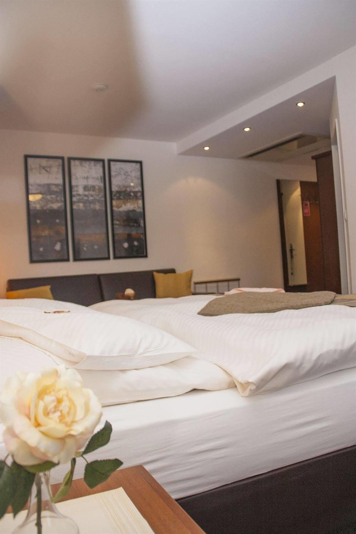 Hotel Zum Adler Бонн Экстерьер фото